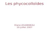 Les phycocolloïdes Diane JOUANNEAU 19 juillet 2007.