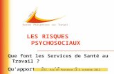 LES RISQUES PSYCHOSOCIAUX Que font les Services de Santé au Travail ? Quapporte la réforme ? LEST, Aix en Provence le 2 octobre 2012.