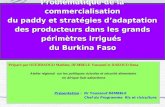 Problématique de la commercialisation du paddy et stratégies dadaptation des producteurs dans les grands périmètres irrigués du Burkina Faso Préparé par