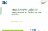 Rencontre Thèses des bois - Bordeaux - 30/01/2009 Page 1 Jérôme MOREAU - FCBA Impact de pratiques sylvicoles intensives sur les propriétés technologiques.