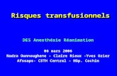 Risques transfusionnels DES Anesthésie Réanimation 06 mars 2006 Nadra Ounnoughene - Claire Rieux -Yves Ozier Afssaps- CSTH Central - Hôp. Cochin.
