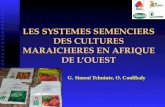 LES SYSTEMES SEMENCIERS DES CULTURES MARAICHERES EN AFRIQUE DE LOUEST G. Simeni Tchuinte, O. Coulibaly.
