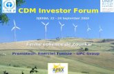 Ferme éolienne de Zounkar CDM Investor Forum DJERBA, 22 - 24 September 2004 Promoteur: Enerciel Tunisie – UPC Group.