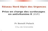 1 Réseau Nord Alpin des Urgences Prise en charge des surdosages en antivitamine K (AVK) Pr Benoît Polack Chu de Grenoble Pr Benoît Polack Chu de Grenoble.
