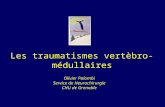 Les traumatismes vertèbro-médullaires Olivier Palombi Service de Neurochirurgie CHU de Grenoble.
