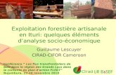 Ur B&SEF Exploitation forestière artisanale en Ituri: quelques éléments danalyse socio-économique Guillaume Lescuyer CIRAD-CIFOR Cameroon Conférence Les.