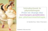 Introductionà la phytothérapie Prise en charge des surcharges pondérales par phytoaromathérapie 1 DIUMMAA, 6 Décembre 2012 Dr Danielle Roux- Sitruk, Pharmacien.