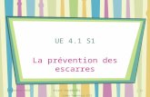 Septembre 2010Roxane Chatecaille, Cadre formateur IFSI SAINTES 1 UE 4.1 S1 La prévention des escarres.