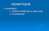 I. RAPPELS I. RAPPELS 1. STRUCTURE DE LA CELLULE 2. chromosome GENETIQUE.