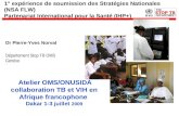 1° expérience de soumission des Stratégies Nationales (NSA FLW) Partenariat International pour la Santé (IHP+) Dr Pierre-Yves Norval Département Stop TB.
