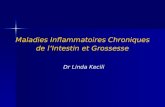 Maladies Inflammatoires Chroniques de lIntestin et Grossesse Dr Linda Kecili.
