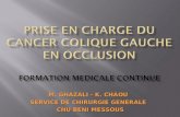 M. GHAZALI - K. CHAOU SERVICE DE CHIRURGIE GENERALE CHU BENI MESSOUS CHU BENI MESSOUS