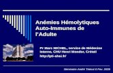Anémies Hémolytiques Auto-Immunes de lAdulte Pr Marc MICHEL, service de Médecine Interne, CHU Henri Mondor, Créteil http://pti-ahai.fr/ Séminaire André