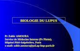 1 BIOLOGIE DU LUPUS Pr Zahir AMOURA Service de Médecine Interne (Pr Piette), Hôpital Pitié-Salpétrière, Paris e-mail: zahir.amoura@psl.ap-hop-paris.fr.