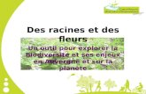 Des racines et des fleurs Un outil pour explorer la biodiversité et ses enjeux en Auvergne et sur la planète.