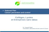 Collèges, Lycées et Entreprises sans tabac Dr. Youssef Chami Association Lalla Salma de lutte contre le Cancer > National Plan Cancer prevention and control.
