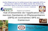 Exposé sur le thème: Vue densemble de lapplication des normes Sanitaires et Phytosanitaires (SPS) et contraintes SPS au Cameroun Par NGONGANG NONO Jean-Claude.