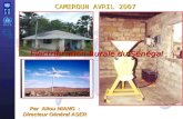 Par Aliou NIANG : Directeur Général ASER CAMEROUN AVRIL 2007 Electrification Rurale du Sénégal.
