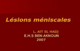 Lésions méniscales L. AIT EL HADJ L. AIT EL HADJ E.H.S BEN-AKNOUN E.H.S BEN-AKNOUN 2007 2007.