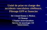 Unité de prise en charge des accidents vasculaires cérébraux. Pilotage EPP et financier Dr I Girard Buttaz L Plichon D Chiampi Léquipe neurovasculaire.