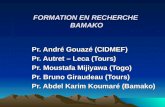 FORMATION EN RECHERCHE BAMAKO Pr. André Gouazé (CIDMEF) Pr. Autret – Leca (Tours) Pr. Moustafa Mijiyawa (Togo) Pr. Bruno Giraudeau (Tours) Pr. Abdel Karim