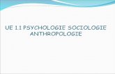 UE 1.1 PSYCHOLOGIE SOCIOLOGIE ANTHROPOLOGIE. Plan Psychologie -©tat psychique -syndrome post-chute -diminution chronique de lestime de soi li©e au vieillissement