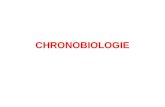 CHRONOBIOLOGIE. I. Introduction Activités : -Métaboliques, -Physiologiques -Psychologiques -Rythmes circadiens, -Saisonniers -Annuels Rythmes : activité