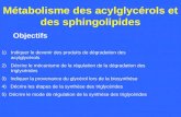 Métabolisme des acylglycérols et des sphingolipides Objectifs 1)Indiquer le devenir des produits de dégradation des acylglycérols 2)Décrire le mécanisme.