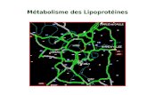 Métabolisme des Lipoprotéines. I – Les Lipoprotéines Transporteurs des Lipides dans lOrganisme Structure Générale dune Lipoprotéine Hétérogénéité des.