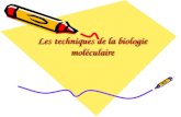 Les techniques de la biologie moléculaire. IntroductionIntroduction.