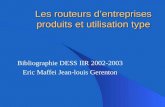 Les routeurs dentreprises produits et utilisation type Bibliographie DESS IIR 2002-2003 Eric Maffei Jean-louis Gerenton.