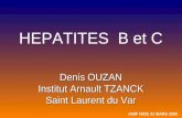 HEPATITES B et C Denis OUZAN Institut Arnault TZANCK Saint Laurent du Var AMIF NICE 31 MARS 2008.