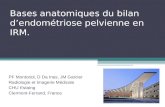 Bases anatomiques du bilan dendométriose pelvienne en IRM. PF Montoriol, D Da Ines, JM Garcier Radiologie et Imagerie Médicale CHU Estaing Clermont-Ferrand,