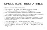 1 SPONDYLARTHROPATHIES Rhumatismes inflammatoires -Comportant en règle une atteinte sacro-iliaque - Latteinte rachidienne nest pas obligatoire Les articulations.