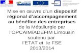 Mise en œuvre dun dispositif régional daccompagnement au bénéfice des entreprises de la Métallurgie par lOPCAIM/ADEFIM Limousin soutenu par lETAT et le.