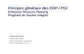 Principes généraux des ERP / PGI Enterprise Resource Planning Progiciels de Gestion Intégrés Thibault Estier Ecole des HEC Université de Lausanne thibault.estier@hec.unil.ch.