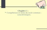 Chapitre 1 : Compétences et items du socle commun : caractéristiques.