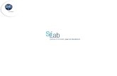 Introduction - De Xlab à SILab vers GESLAB Remplissage du tableau Excel Code divisionCode LabintelDRCode identifiant base choisie Code Organisme Xlab.