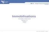 Support Formation Immobilisations V1.7 – 07/09/2007 1 Immobilisations Formation métier-outil Version 1.7 7/09/07.