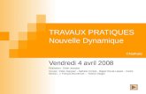 TRAVAUX PRATIQUES Nouvelle Dynamique Vendredi 4 avril 2008 Réalisation : Didier Jeanjean Groupe : Didier Jeanjean – Nathalie Compte - Magali Fleurat-Lassart.