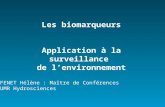 Les biomarqueurs Application à la surveillance de lenvironnement FENET Hélène : Maître de Conférences UMR Hydrosciences.