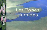Les Zones Humides Eaux Continentales Partie III. Sommaire Définitions Diversité en France Fonctions & Importance Pressions Protection.