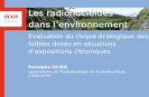 Les radionucléides dans lenvironnement Evaluation du risque écologique des faibles doses en situations dexpositions chroniques Rodolphe GILBIN Laboratoire.