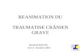 REANIMATION DU TRAUMATISE CRÂNIEN GRAVE Bernard RIEGEL D.E.S Octobre 2001.