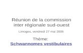 Réunion de la commission inter régionale sud-ouest Limoges, vendredi 27 mai 2005 Thème: Schwannomes vestibulaires.