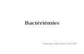 Bactériémies Pathologies Infectieuses, Avril 2003.