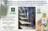 Modélisation pour les ressources naturelles, Montpellier, Juin 2008 Intégration des cycles biogéochimiques dans les modèles de dynamiques forestières :