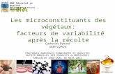 1 Les microconstituants des végétaux: facteurs de variabilité après la récolte UMR Sécurité et Qualité des Produits dOrigine Végétale Catherine Renard.