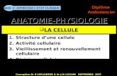 : APPRECIER LETAT CLINIQUE Conception Dr B LEPLAIDEUR & Dr J-M LUCIANI SEPTEMBRE 2007 MOD. 2 Diplôme Ambulancier A LA CELLULE 1.Structure dune cellule.