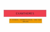 EXANTHEMES V.VISEUX, DERMATOLOGIE, CHU SUD AMIENS